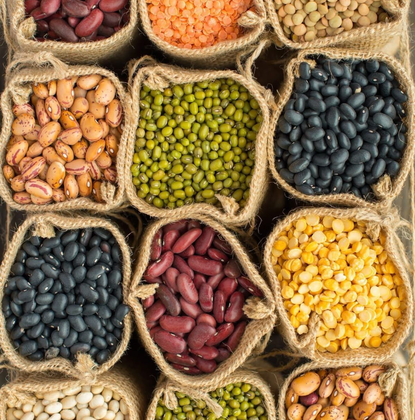 minza-general-trading-food-products.png